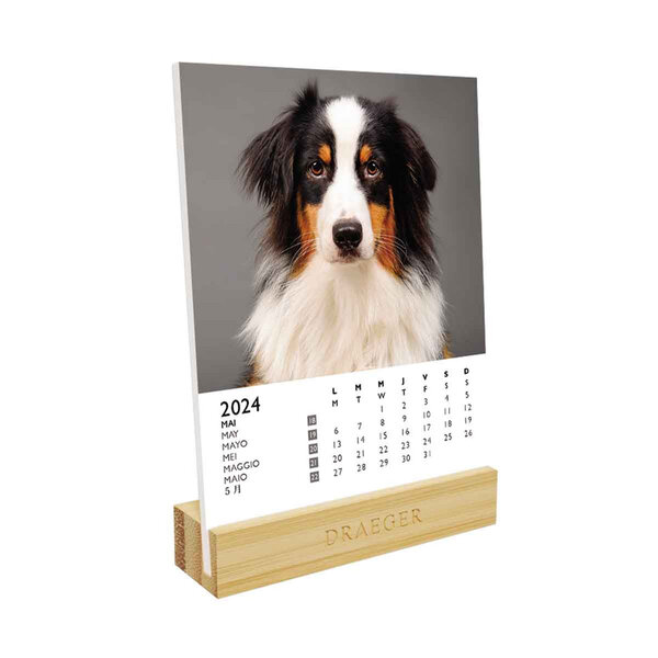 Calendrier sur socle en bambou à thème 2024 - Chiens - Draeger