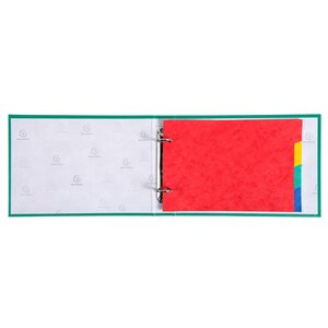 Clas. 2ax + interc. PP 165X245 25mm ass. x 10 EXACOMPTA