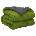 vidaXL Duvet complet toute l'année Vert et Anthracite 220 x 155 cm