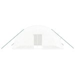 vidaXL Serre avec cadre en acier blanc 24 m² 6x4x2 85 m