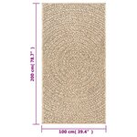 vidaXL Tapis ZIZUR 100x200 cm aspect de jute intérieur et extérieur