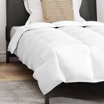 vidaXL Duvet d'été simple avec oreiller 2 Pièces Blanc Plume de canard