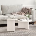 vidaXL Ensemble de tables basses 2 Pièces Blanc 49 x 49 x 28 cm