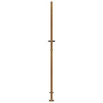 vidaXL Portail de jardin 105x205 cm acier corten conception d'herbe