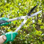 Cisaille à haie lames ondulées - Suan - Revêtement anti adhérence - Dimensions : 58 x 23 cm