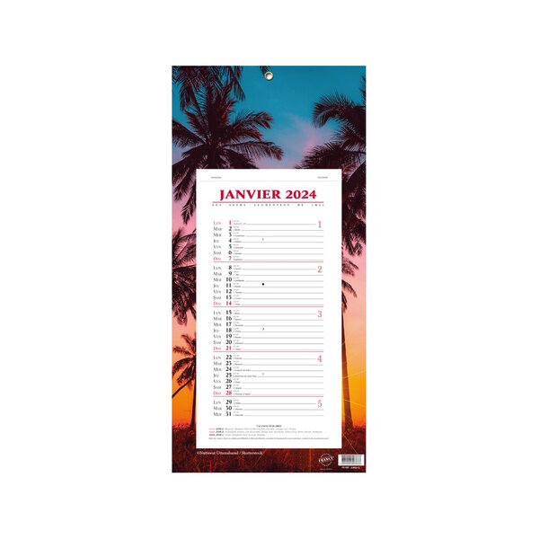 Calendrier Bloc Mensuel Mural 2024 - 16x33.5cm - Evasion