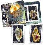 Polynésie Française - Carnet Coquillages