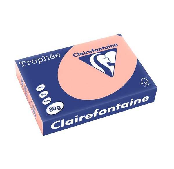 Ramette 500 Feuilles Papier 80g A4 210x297 mm pêche TROPHÉE