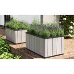 Keter Jardinière Sequoia Taille moyenne Gris PP 240929