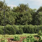 vidaXL Clôture en treillis métallique et ancrage anthracite 2x10 m