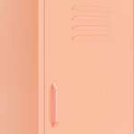 vidaXL Armoire de rangement Rose 42 5x35x101 5 cm Acier