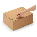 Caisse carton brune simple cannelure rajabox 30x30x50 cm (lot de 20)