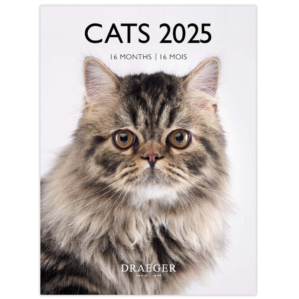 Petit Calendrier Mensuel 2025 14x18 Cm - Chats - Draeger paris