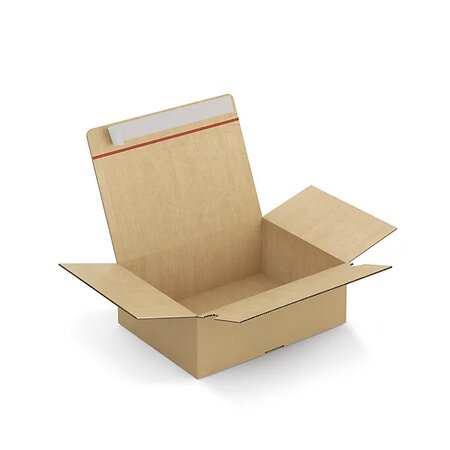 Caisse carton brune simple cannelure montage instantané fermeture adhésive raja 31x23x11 cm (lot de 20)
