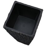 vidaXL Lits surélevés 3 Pièces Jacinthe d'eau Noir