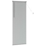 vidaXL Store de Fenêtre avec des rideaux Manuel Argent Aluminium