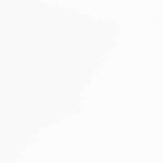 vidaXL Tabourets de bar avec coussins 2 Pièces blanc bois massif d'hévéa