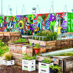 Visite de ferme urbaine et atelier de jardinage écologique - smartbox - coffret cadeau sport & aventure