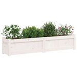 vidaXL Jardinière blanc 150x31x31 cm bois massif de pin