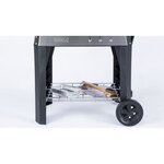 WEBER Barbecue électrique Pulse 2000 avec chariot - Noir