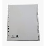 Intercalaires Imprimés Numériques Pp Recyclé Gris 31 Positions - A4 Maxi - Gris - Exacompta