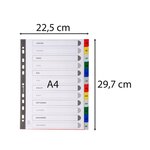 Intercalaires Imprimés Mensuels Pp Couleurs Janv-décembre - A4 - Couleurs Assorties - Exacompta