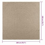 vidaXL Tapis ZIZUR beige 200x200 cm aspect de jute intérieur extérieur