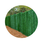 Haie artificielle occultation totale 147 brins en rouleau alpha 1.5 x 3 m