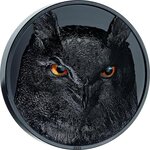 Pièce de monnaie en Argent 25 Dollars g 500 (1/2 Kg) Millésime 2023 Hunters by Night EAGLE OWL
