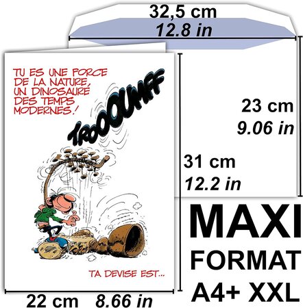Maxi grande carte géante bon anniversaire gaston lagaffe franquin avec  enveloppe - La Poste
