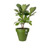 ELHO -  Pot de fleurs - Pure Round Grass 50 - Vert Sportif