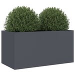 vidaXL Jardinière anthracite 62x30x29 cm acier laminé à froid