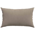 vidaXL Coussins de canapé 2 Pièces Taupe 50 x 30 cm tissu