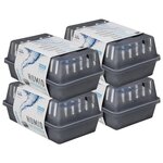 vidaXL Absorbeurs d'humidité avec sacs de recharge 4 Pièces 900 g