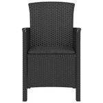 vidaXL Chaises de jardin 2 Pièces avec coussins Rotin PP Graphite