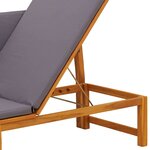 vidaXL Transat Bois d'acacia massif Huile Naturelle