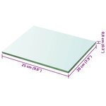 vidaXL Panneau pour étagère Verre transparent 20 x 25 cm