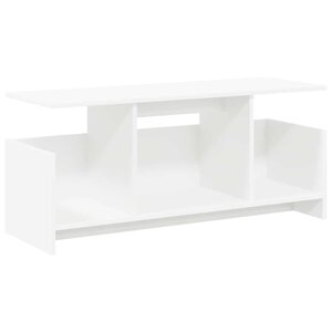 vidaXL Meuble TV Blanc 102 x 35 x 45 cm Bois d'ingénierie