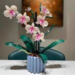 LEGO Botanicals - L'orchidée - Set de Création 10311 pour Adultes
