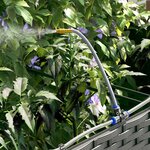 vidaXL Cache-pot de jardin 2 Pièces Noir Acier