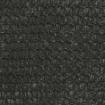 vidaXL Voile d'ombrage 160 g/m² Anthracite 6x7 m PEHD