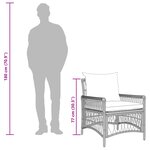 vidaXL Chaise de jardin avec coussins Gris en poly rotin