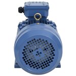 vidaXL Moteur électrique triphasé Aluminium 4kW/5 5 CH 2840 tr/min