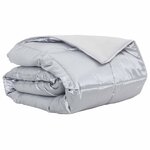 vidaXL Duvet d'été simple Argenté 200 x 200 cm Satin et Microfibre