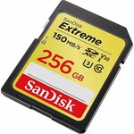 Carte mémoire flash - SANDISK -  - 256GB -  -  (SDSDXV5-256G-GNCIN)