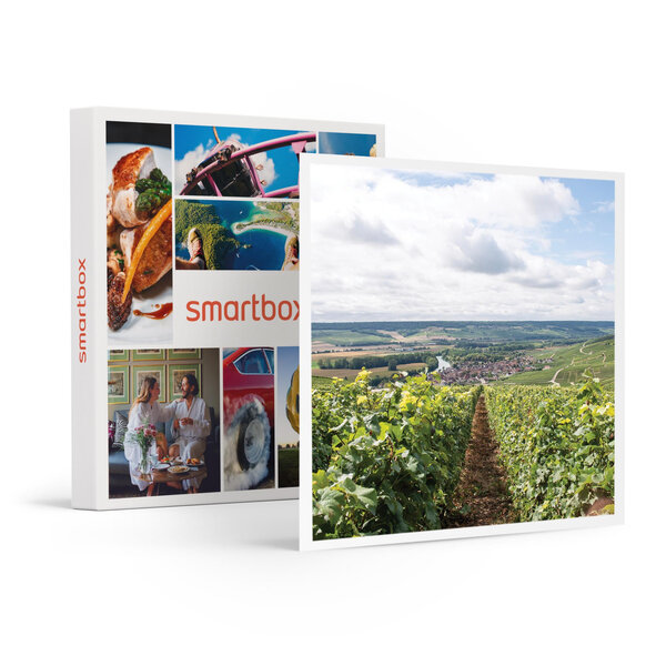 Balade autoguidée à vélo électrique à travers les vignobles champenois - smartbox - coffret cadeau gastronomie