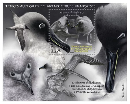 Bloc de 1 timbre TAAF - Albatros fuligineux à dos sombre