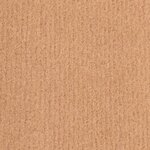 vidaXL Tapis BCF Beige 100x250 cm