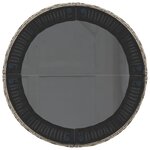 vidaXL Salon de jardin 3 Pièces demi-rond gris résine tressée