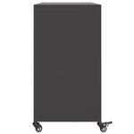 vidaXL Buffet noir 100 5x39x72 cm acier